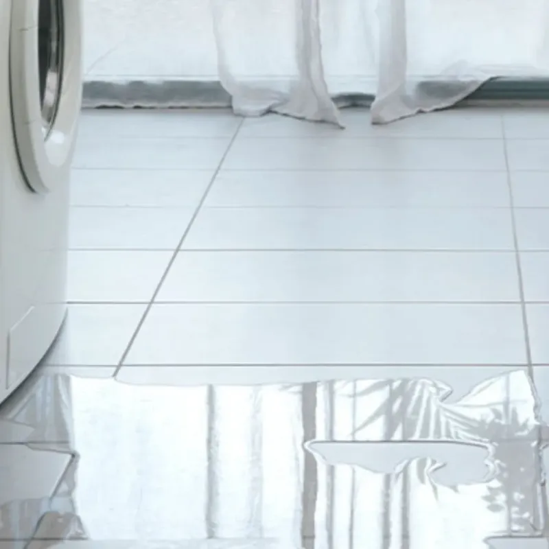 Appliance Leak Cleanup in Macon, IL