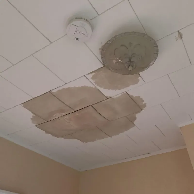 Ceiling Water Damage Repair in Macon, IL