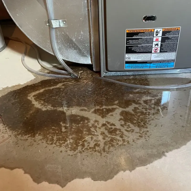 Pipe Burst and Leak Restoration in Macon, IL
